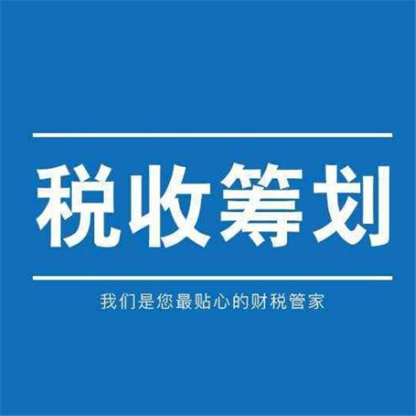 財務(wù)稅收籌劃(職業(yè)經(jīng)理人財務(wù)素養(yǎng)訓(xùn)練—非財務(wù)經(jīng)理的財務(wù)管理課程)