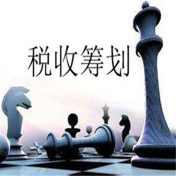 企業(yè)所得稅的稅務(wù)籌劃(個(gè)人稅務(wù)與遺產(chǎn)籌劃)