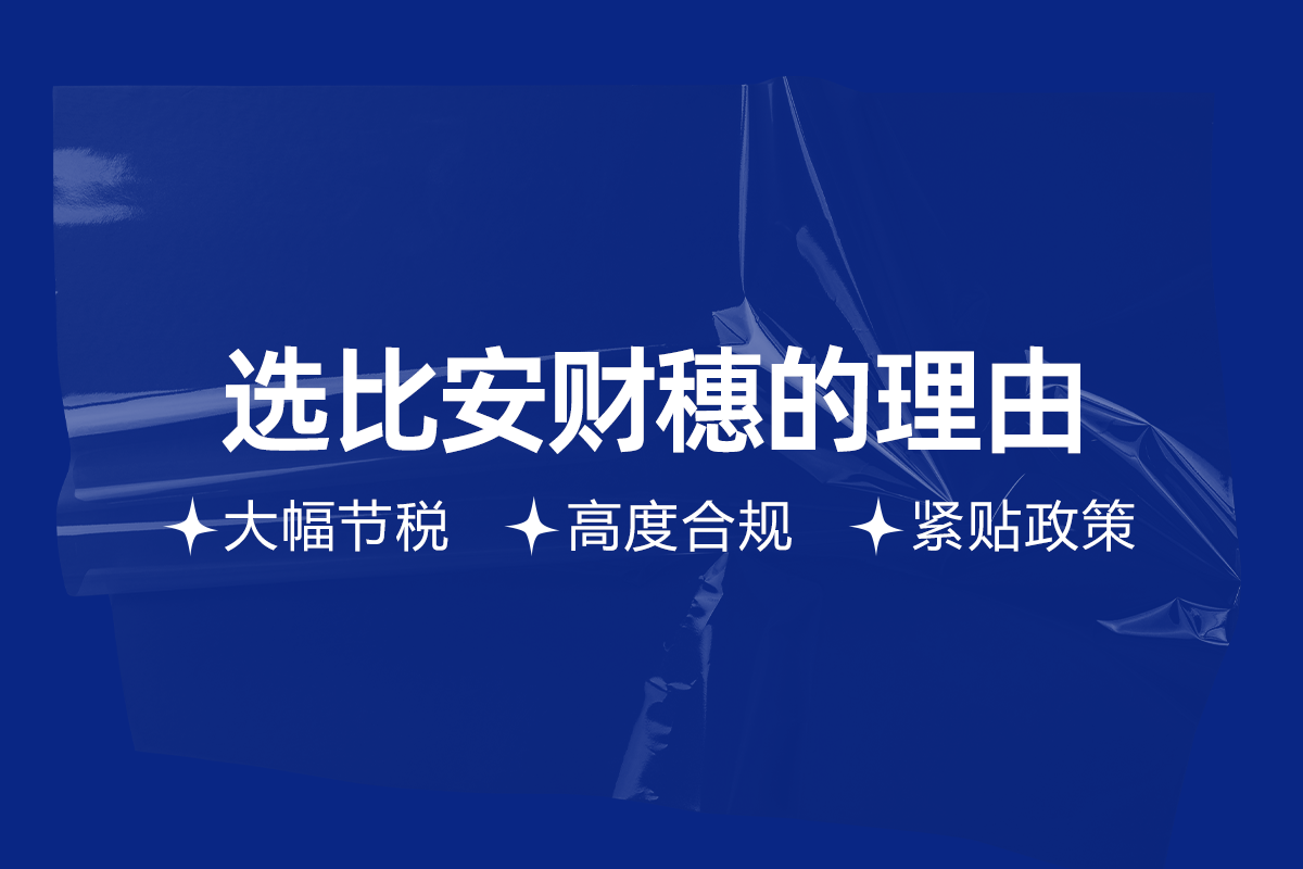 個人稅務籌劃(個人稅務與遺產(chǎn)籌劃過關必做1500題)