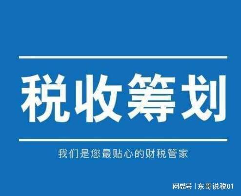 稅務籌劃如何收費(藍敏稅務游戲的經(jīng)營規(guī)則：做懂稅務的管理者^^^稅務稽查應對與)