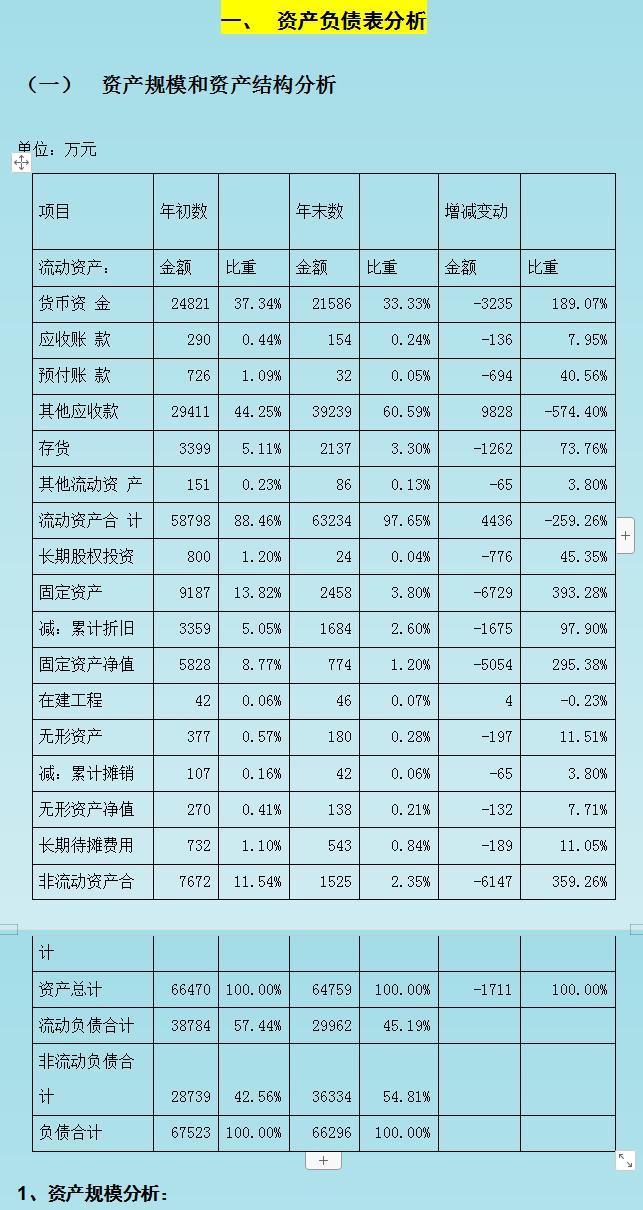 公司財務分析報告(財務分析報告 盡職報告)