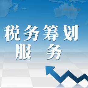 稅務籌劃100個技巧節(jié)稅籌劃