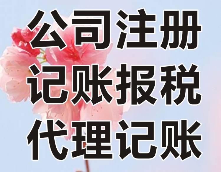 深圳財務(wù)代理公司