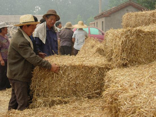 生物質(zhì)能源上市公司