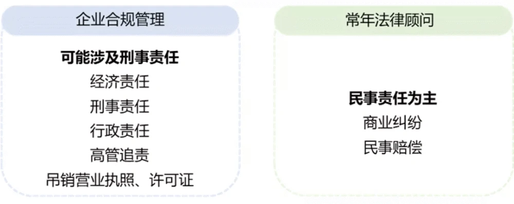 常年財(cái)務(wù)顧問(wèn)業(yè)務(wù)流程包括下列(業(yè)務(wù)財(cái)務(wù)和共享財(cái)務(wù))(圖12)