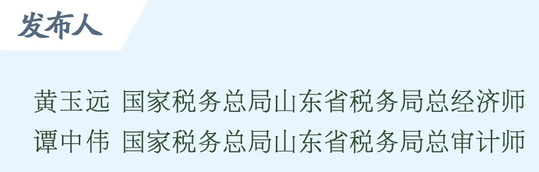 稅務咨詢(大連電子稅務地方稅務)