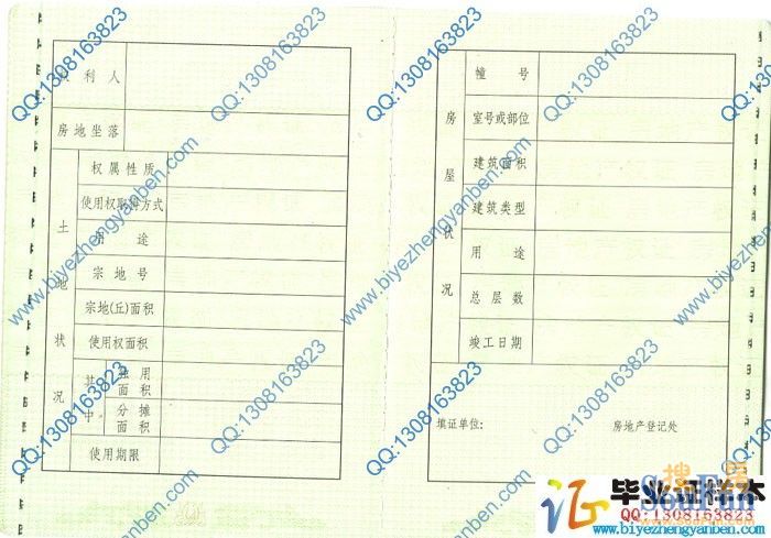 財(cái)稅網(wǎng)?上海(上海注冊(cè)公司代理財(cái)稅記賬)